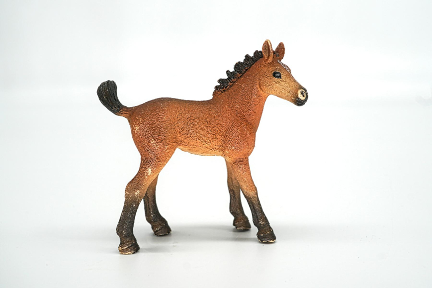 Schleich Quarter Horse Fohlen 13854